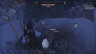 The Elder Scrolls Online советы для новичка, поиск осколков в стартовой локации Бликрок.