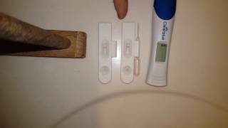Live pregnancy test. 6/7/16. Dollar tree test. Clear blue digital.