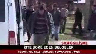 ÇYDD-PKK Bağı