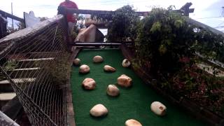 Mini golf plinko