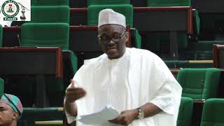 Hon Ndudi Elumelu,10 Oct 2019   Debate on 2020 Budget estimate