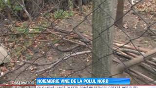 În următoarele două săptămâni, România va fi lovită de ger şi de viscol