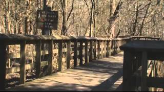 Former 5 Rivers Metro Parks Employee Indicted on Child Porn Charges