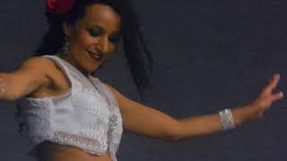 FACTIMA EL SAMR │ Contemporary Gyspsy