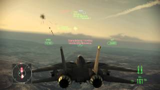 Ace Combat fun and games in an F14
