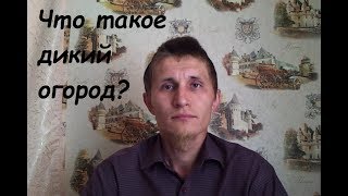 Дикий огород / Скрытый огород / Партизанский огород. Что это такое?