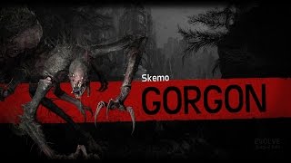 Evolve Stage 2 - Gorgon fast Feeding route in distillery.