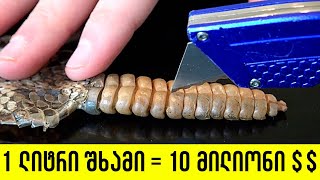 რა არის შხამიანი ჯირკვლების შიგნით?