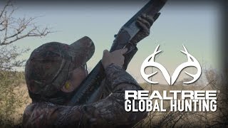 Dove Shooting in Argentina