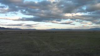 Nevada Cattle Ranch