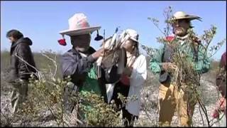 A documentary film - "Diabla Blanca"