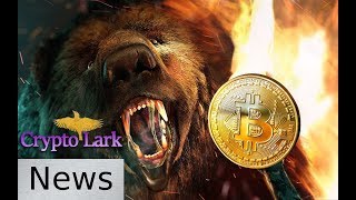 Bitcoin & Cryptocurrency News - Will Smith and Bears