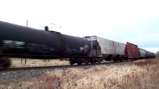 CN 305 at Hardwood Ridge