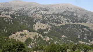 Μηλο ζαριφικο μου - Στεφανακης Τριανταφυλλος
