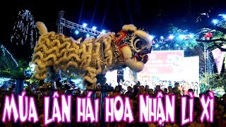 MÚA LÂN 2020 : MÚA LÂN VUI TẾT HÁI LỘC  NHẬN LÌ XÌ - LSR VY ANH ĐƯỜNG  Lion dance Performance 2020)