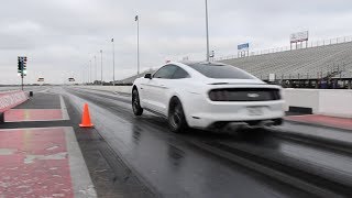 Twin Turbo Mustang Runs 8's With Ease (LPF Mustangs and More)