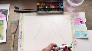 Flying hummingbird. Полет колибри.