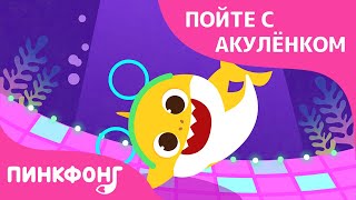 Акулий шаффл | Пойте с Акулёнком | Пинкфонг Песни для Детей