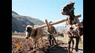 Uzbek Ўзбекистонда фермер бўлишни чидаганга чиқарган