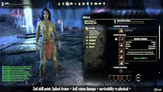 ESO - Dragonknight builds: all you need to know to get you started...