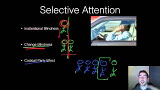AP Psychology - Sensation & Perception - Part 1 - The Basics