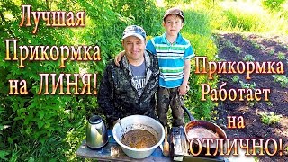 Как ПОЙМАТЬ ЛИНЯ! Лучшая Прикормка на Линя! Секрет её Приготовления!!!