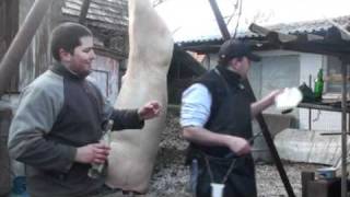 Stanislav Baranok - zabijačka Jasenie