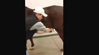 Sheath Cleaning