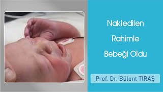 Nakledilen rahimle bebeği oldu - Prof Dr Bülent Tıraş