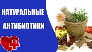 7 натуральных антибиотиков без побочных эффектов