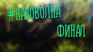 #НАНОВОЛНА | Финал