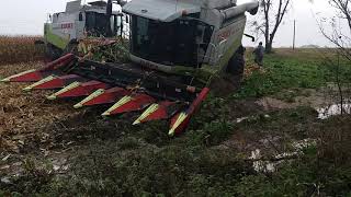 Claas lexion 560