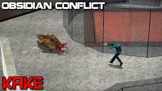 Obsidian Conflict - Kake