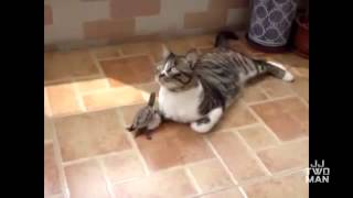 аншлаг юмора приколов и смеха на ютубе смотрите лучшее