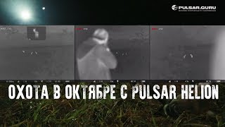 Охота на лося с подхода с ПульсарГуру в октябре 2018