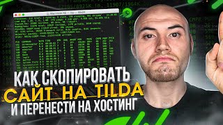 Как перенести сайт с Тильда на хостинг — Tilda Экспорт Кода