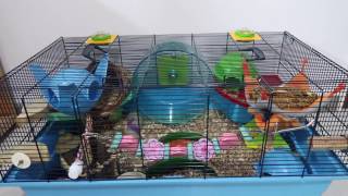 Luna Jr.'s Cage Tour || March ♡