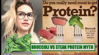 DEBUNKING BROCCOLI VS. STEAK PROTEIN MYTH | Macrotalk