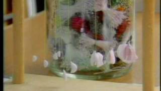 Making Sugar Sweet Peas