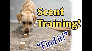 TRAILER - Scent Training Masterclass!