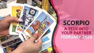SCORPIO LOVE | Walking Away...Towards YOU ~ A Peek Into Your Partner Feb 2020