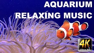 Aquarium 4k Music Relaxation Youtube Video (2 Hours of Happy Aquarium Fish Relaxing Music)