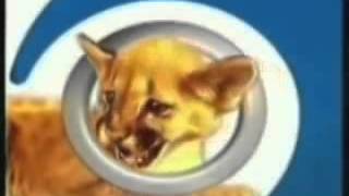 LA HISTORIA GRAFICA DE LS 83 TV CANAL 9