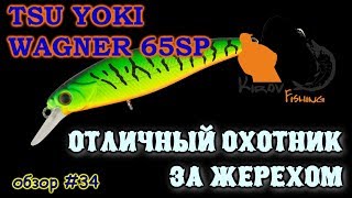 Tsu Yoki Wagner 65sp и трофейный жерех Обзор # 34 #KirovFishing