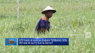 NTP Naik & Harga Gabah Terbang 30%, Petani RI Auto Kaya Raya?