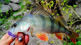 тестирую спиннинг трапара  для микроджига и мормышинга
