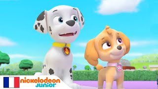 Paw Patrol : la Pat'Patrouille | Le jour du mariage | NICKELODEON JUNIOR