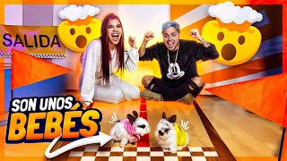 EL PRIMER CONEJITO en LLEGAR A LA META se GANA el PREMIO - Yolo Aventuras