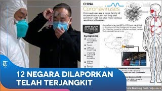 Perkembangan Terbaru Penyebaran Virus Corona, 12 Negara Dilaporkan Telah Terjangkit Coronavirus