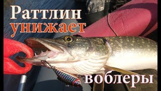 Этот РАТТЛИН косит всю рыбу на СВАЛЕ! Рыбалка на спиннинг на Вятке.